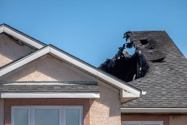 Top rated local Fire Damage Removal specialists in Newtown Square, PA